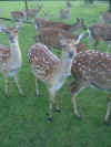 06080002.JPG (1152924 Byte)