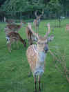 06080005.JPG (379750 Byte)