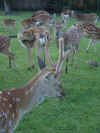 06080008.JPG (1090922 Byte)
