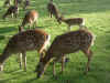 06080016.JPG (1137212 Byte)