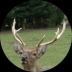 weitere INFOS zu den LINKS